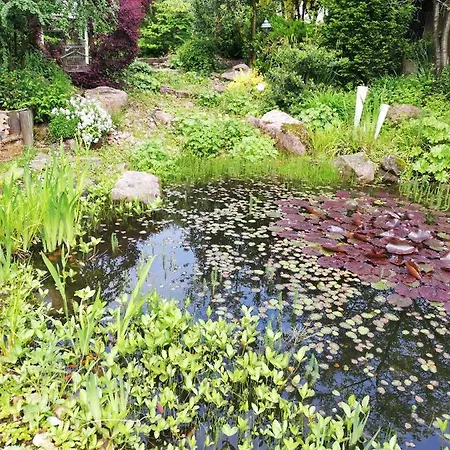 Idylische Schollbrunn