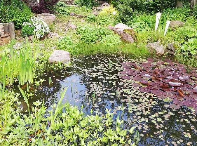 Idylische Schollbrunn